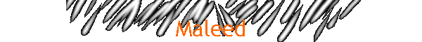 Maleed